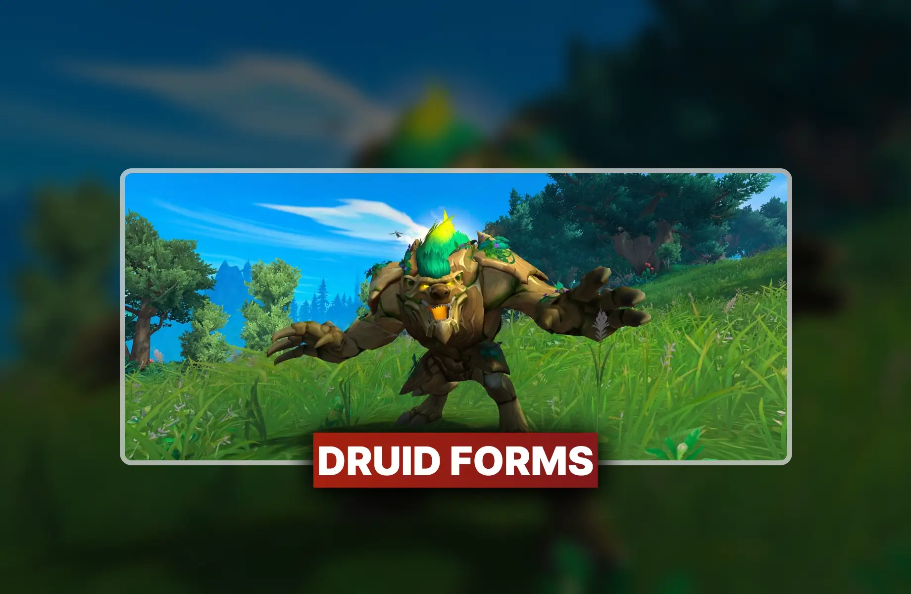 WoW Druid Forms Boost