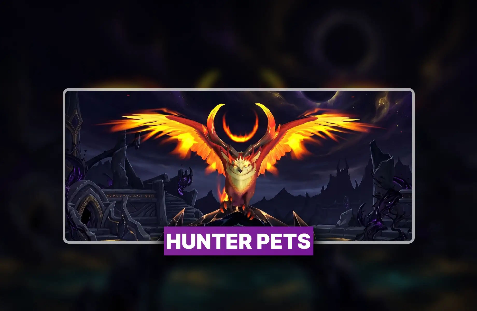 WoW Hunter Pets Boost