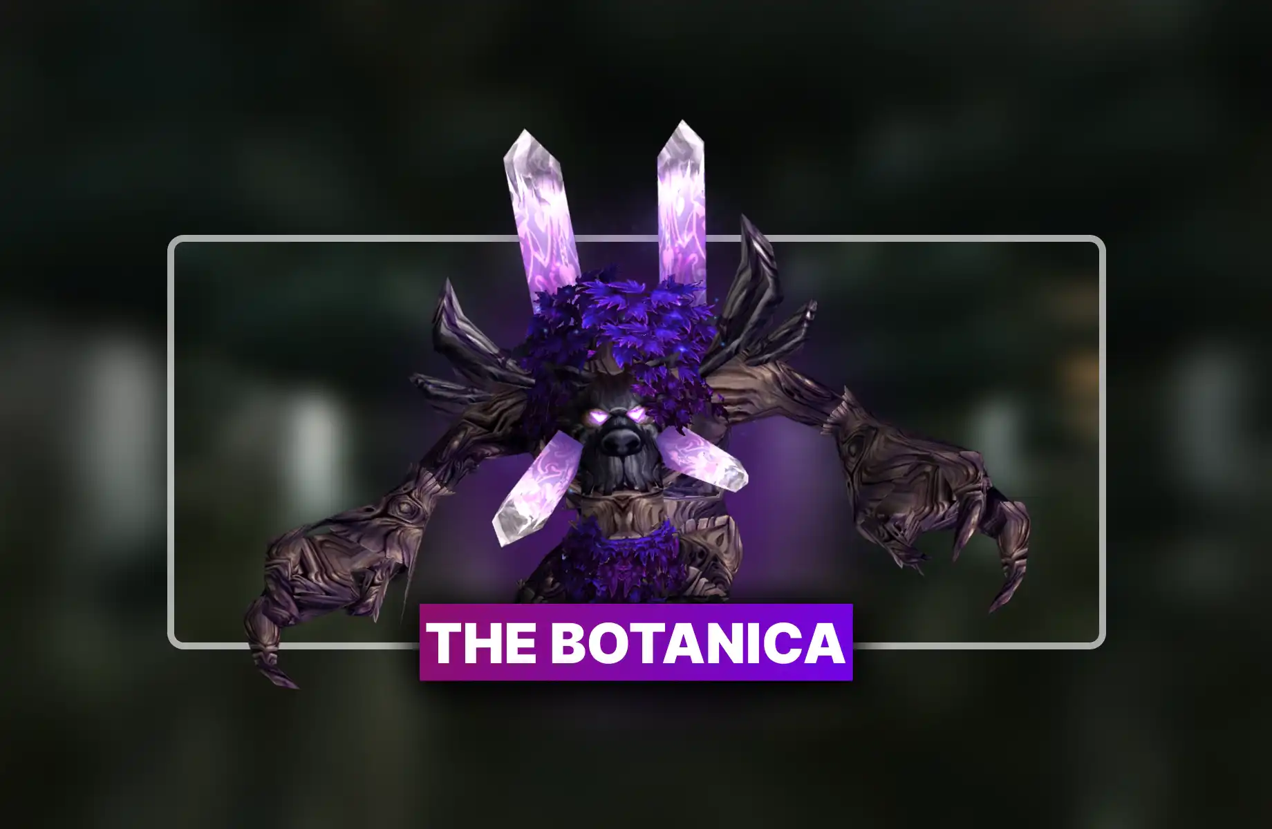 TBC Anniversary The Botanica Boost