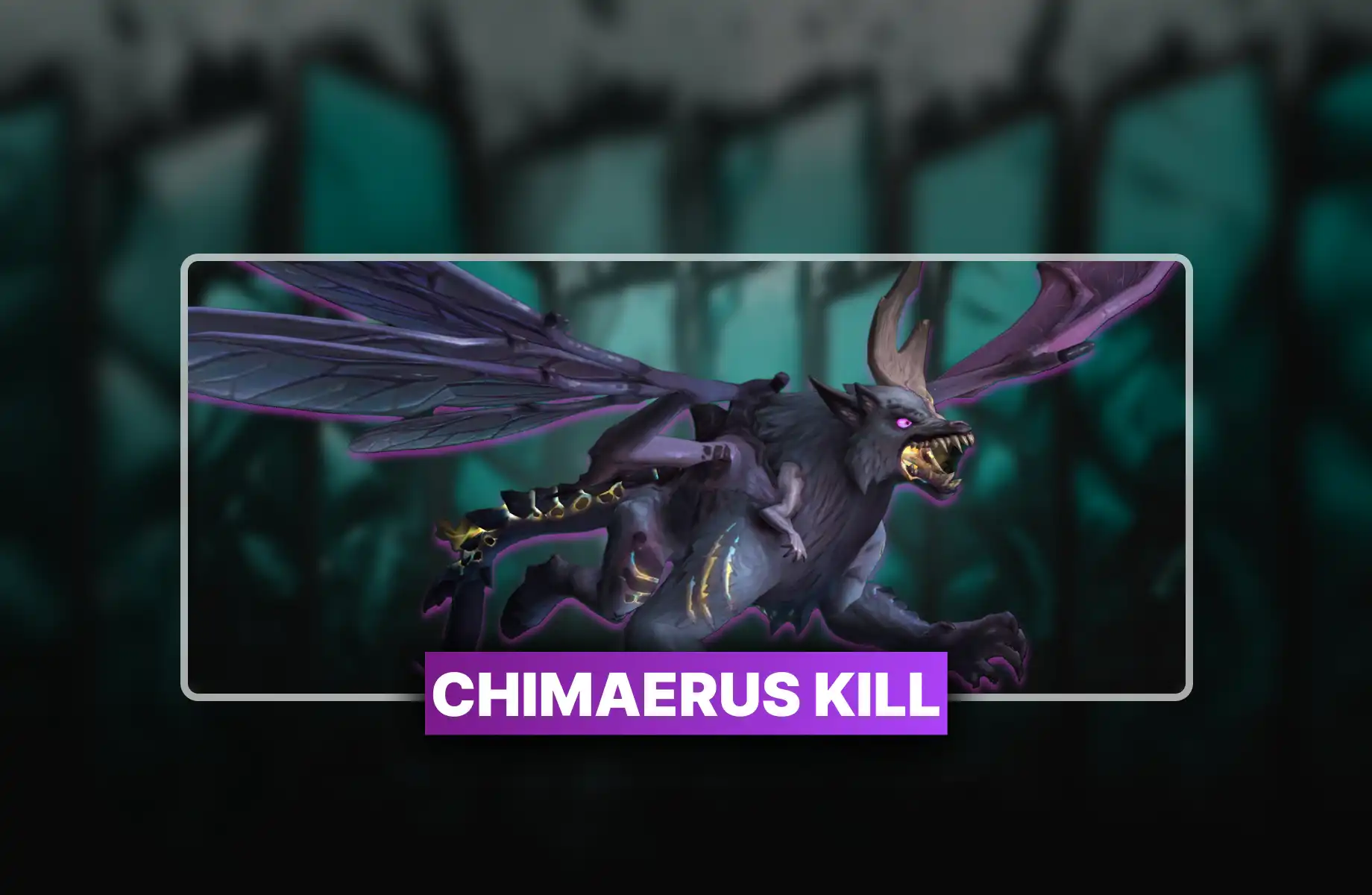 WoW Chimaerus Kill Boost