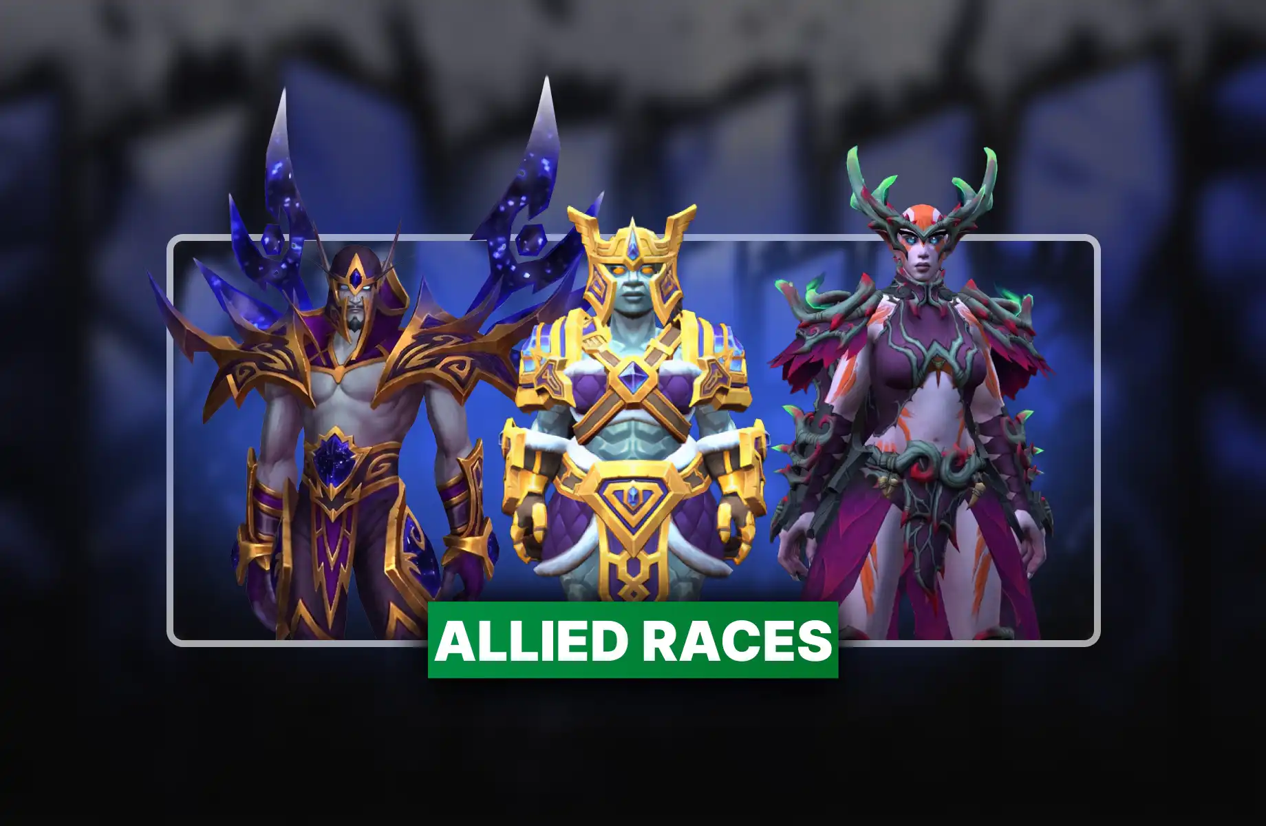 WoW Allied Races Boost | Unlock Any Race