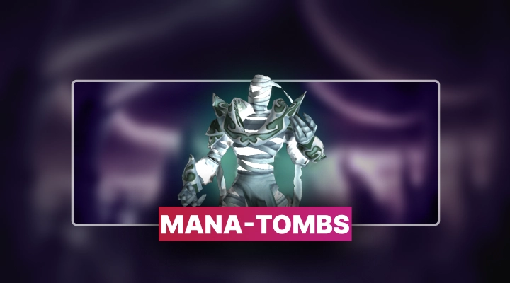 TBC Anniversary Mana Tombs Boost