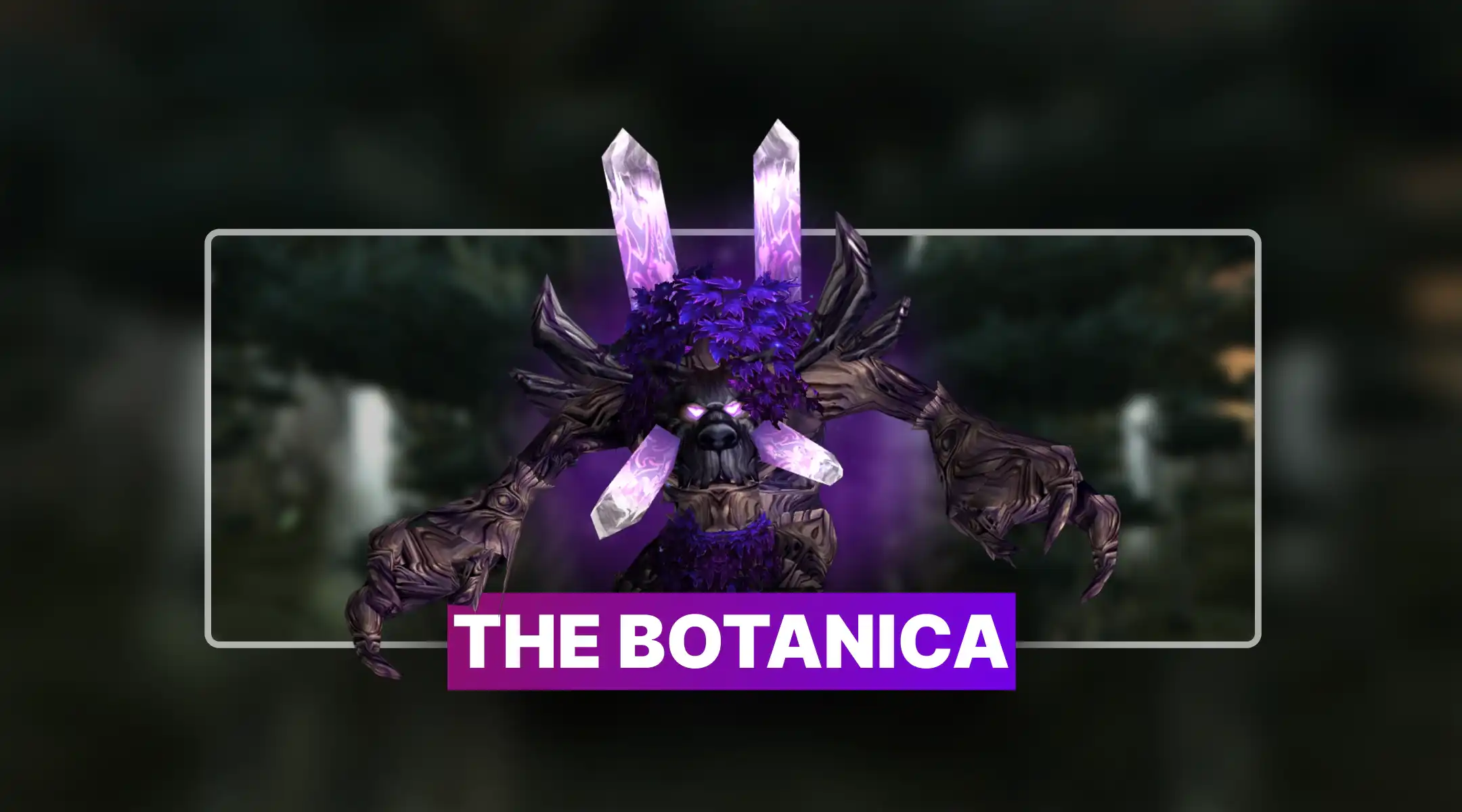 TBC Anniversary The Botanica Boost
