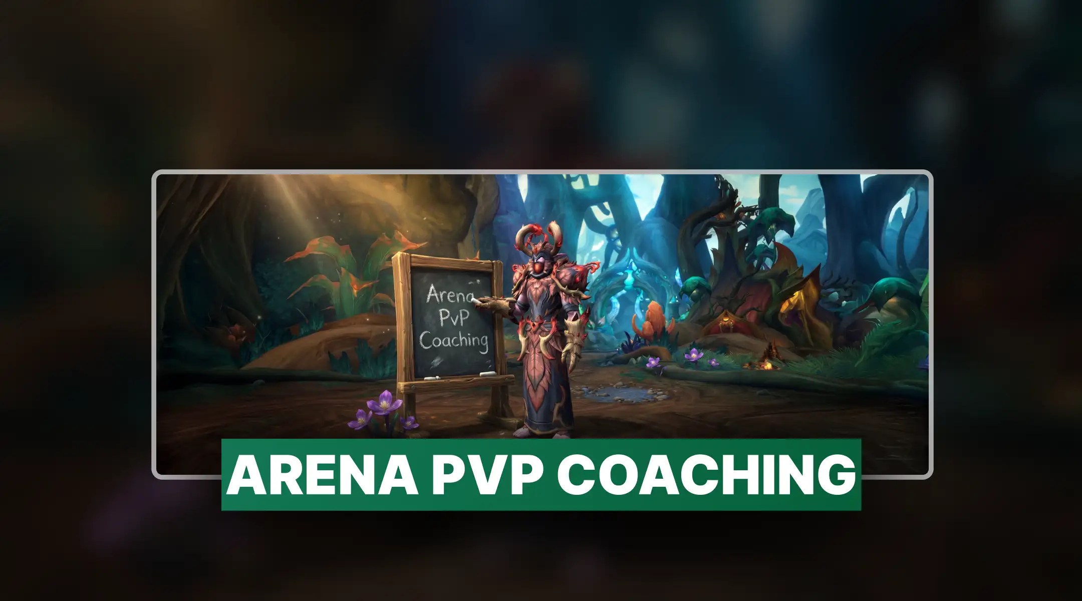 Arena PvP Coaching